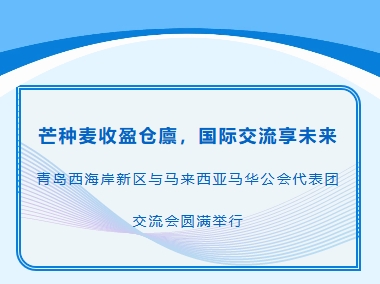 芒种麦收盈仓廪，国际交流享未来